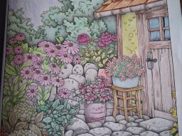 whatsapp bild 2025-01-26 um 11.51.28_f961a7cf